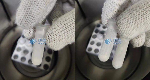 1637229017682656.jpg 2-1.jpg