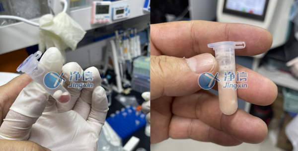 1639380587106408.jpg 18-1.jpg