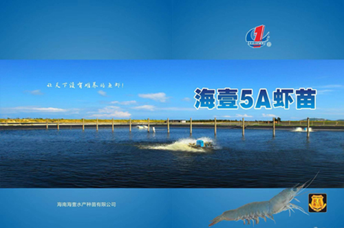 1641881893282889.jpg 16.jpg