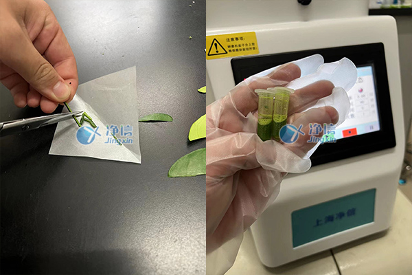 1652783085194285.jpg 300-1.jpg