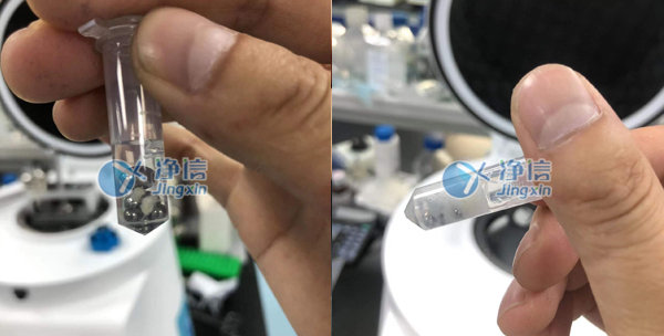 1655286146198975.jpg 25.jpg