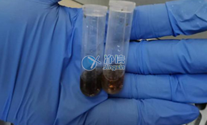 上海凈信高通量研磨儀能否助力蟲媒病毒研究實驗？