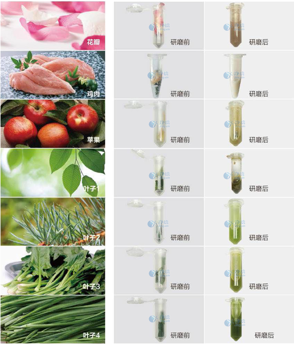 1735111977244393.png image.png