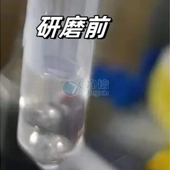 必看！全自動浸入式液氮冷凍研磨儀高效研磨小鼠肝臟提取DNA實(shí)操指南