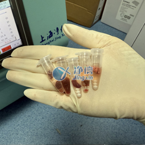 冷凍研磨儀對小鼠組織部位研磨實(shí)驗(yàn)案例