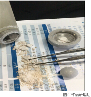 冷凍研磨儀研究告訴你-海虹體內(nèi)的營養(yǎng)價(jià)值及藥用價(jià)值有那些？